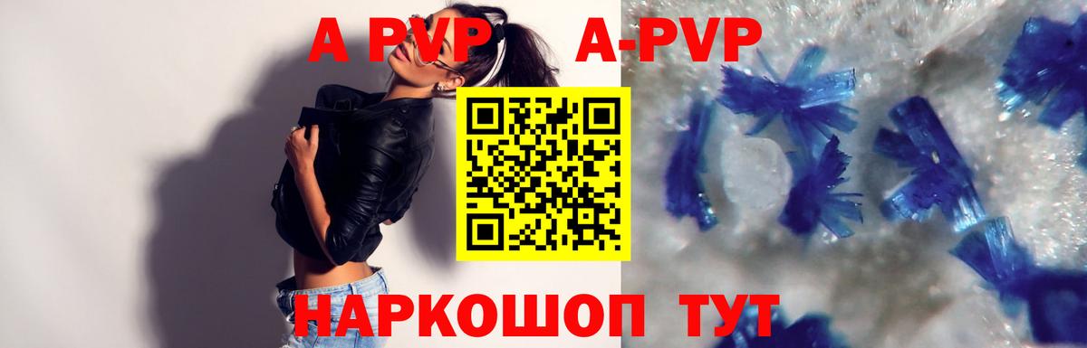 APVP СК Тельмана