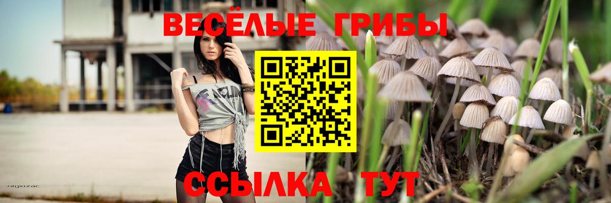 Псилоцибиновые грибы Psilocybe  где купить наркоту  Тельмана  Вход с VPN 